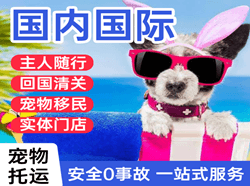 北海福成航空运输国际宠物托运 【国